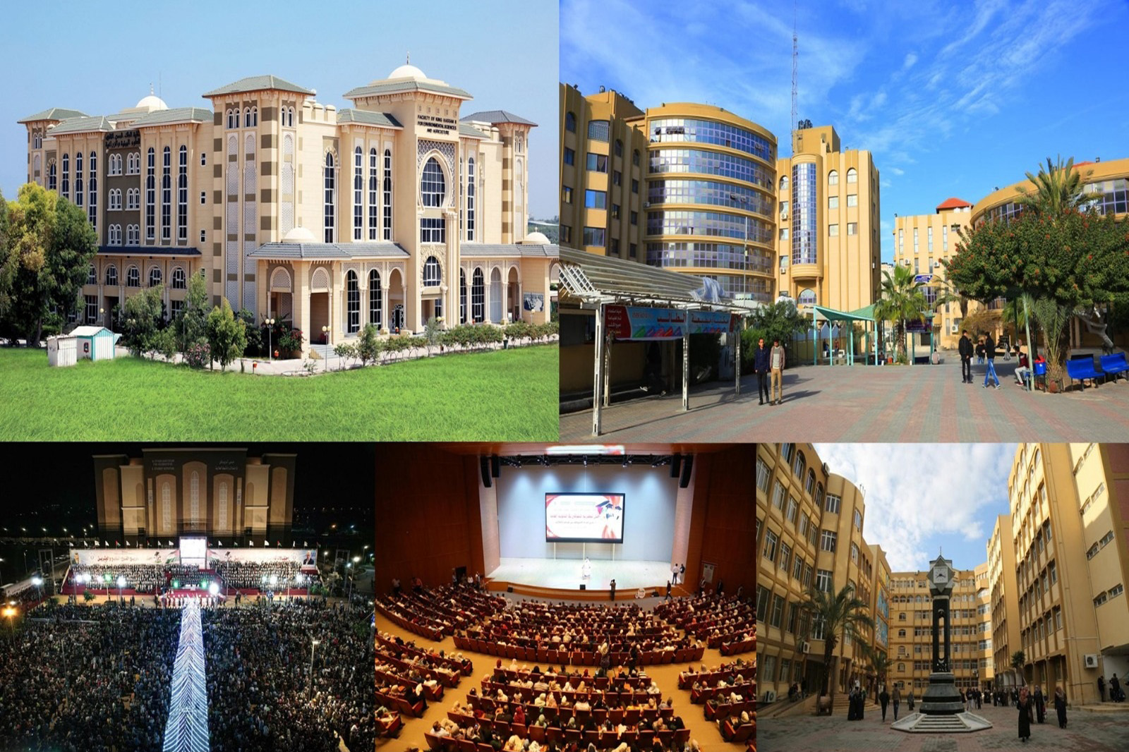 Faculty of Sceince