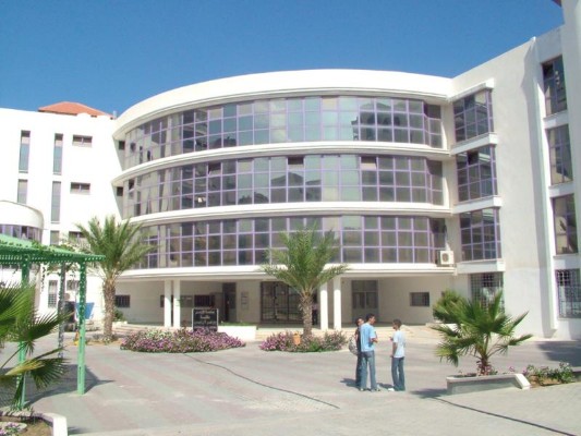 01.jpg