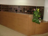 DSC0000501.jpg